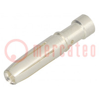 Contatto; femmina; lega di rame; argentato; 3mm2; Han E®; 16A