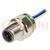 Socket; M12; PIN: 5; male; A code-DeviceNet / CANopen; cables; 0.5m
