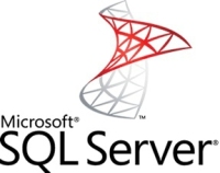 Microsoft SQL Server Enterprise, x32, WIN, GOV, OLV-D, 1U, 1Y, MLNG, Int Database 1 licenc(ek) 1 év(ek)