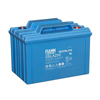 Fiamm Monolite 2SLA250 Blei Akku mit M8 Schraubanschluss 2V, 250000mAh