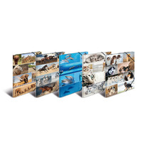 Sortiment Sammelmappen A3 Animals Karton 10 St. sortiert