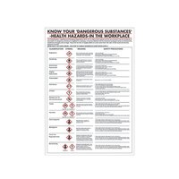 Health Hazards in The Workplace Poster 420x600mm PG23