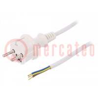 Cable; 3x1mm2; CEE 7/7 (E/F) plug,wires,SCHUKO plug; PVC; 3m