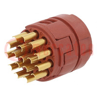 Connettore: M23; inserto contatti; PIN: 17; saldatura; 7A; 50V