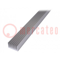 Heatsink: extruded; grilled; natural; L: 1000mm; W: 66mm; H: 40mm