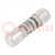 Fuse: fuse; gG,time-lag; 10A; 500VAC; 250VDC; 10x38mm