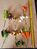 Artificial Assorted Vegetable on a Wire - 48 Pieces, Mixed Colours