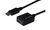 DIGITUS Adapterkabel, DisplayPort - HD15, 0,15 m, schwarz (11006846)