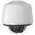 Clear, pendant, black trim ring 316 SSSecurity Camera Accessories