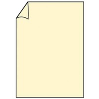 Blatt Paperado, A4, 100g/m², chamois RÖSSLER 16400108