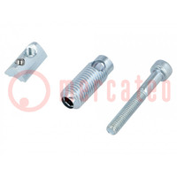 Mounting screw; for profiles; Width of the groove: 6mm; steel