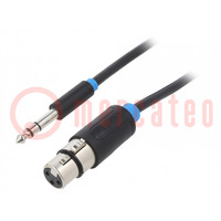 Cable; Jack 6,3mm plug,XLR female 3pin; 10m; black; Øcable: 6mm