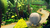 Nintendo Donkey Kong Country Returns HD