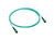 HPE P49765-B23 InfiniBand/fibre optic cable 10 m MPO