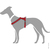 Hunter London Comfort XS-S Grau, Rot Polyester Hund Halftergeschirr
