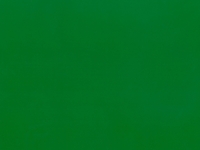 Geschenkpapier Einfasspapier grün 50cmx3m 65g unifarbig