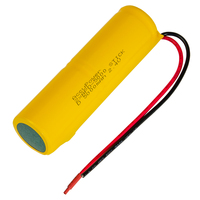 AccuPower batterij voor noodverlichting D / Mono / LR20 2.4V 5000mAh