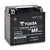 Batterie(s) Batterie moto YUASA YTX12-BS / YTX12 12V 10Ah