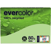 Recycling Kopierpapier evercolor, DIN A4, 80 g/m², Pack: 500 Blatt, hellgrün