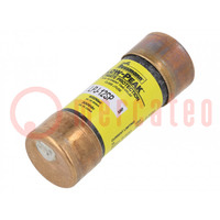 Fuse: fuse; time-lag; 12A; 600VAC; 300VDC; cylindrical,industrial