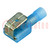 Verbinder: flach; 6,35mm; 0,8mm; weiblich; 1,3÷2mm2; isoliert; blau