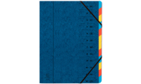 Exacompta 54122E Tab-Register Blau