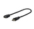 Vivolink PRODPADAPHDMI adapter kablowy 0,2 m DisplayPort HDMI Czarny