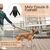 5m Hunde Leine · Rollleine Ausziehbar · Reflektierender Nylon Gurt · bis 50 kg