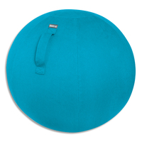 LEITZ Cosy Ballon d'assise ergonomique, bleu, 52790061