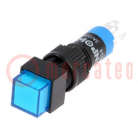 Switch: push-button; Pos: 2; SPDT; 0.5A/250VAC; 1A/24VDC; ON-ON