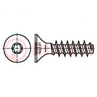 Screw; for plastic; 3x14; Head: countersunk; Torx®; TX08; zinc