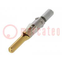 Contact; male; gold-plated; 16AWG÷14AWG; HR41; crimped; for cable