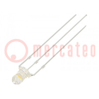 LED; 3mm; rosso/bianco caldo; 30°; Frontale: convesso; Nr usc: 3