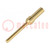 Contact; male; gold-plated; 0.13÷0.33mm2; 26AWG÷22AWG; Han® D-Sub