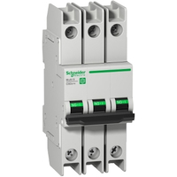Schneider Electric C60BPR coupe-circuits 3P