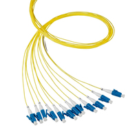 EFB Elektronik O3491.2 Glasvezel kabel 2 m LC 12x LC OM1 Blauw