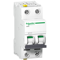 Schneider Electric A9F06225 áramköri megszakító 2