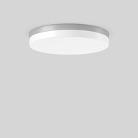 RZB FLAT SLIM Wand-/Deckenbeleuchtung für den Außenbereich LED 35 W F