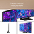 Samsung TV Q77D QLED 55” 4K Smart TV 2024