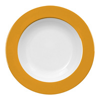 Teller tief 30 cm - Form: Table Selection - Dekor, 66275 curry - aus Porzellan.