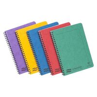 Clairefontaine Europa Notemaker A5 Assorted Wirebound Pressboard Cover Notebook (Pack 10)