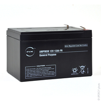 Unité(s) Batterie plomb AGM NX 12-12 General Purpose FR 12V 12Ah F6.35