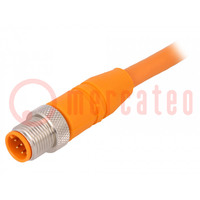 Connection lead; M12; straight; 2m; plug; 250VAC; 4A; -25÷80°C; PVC