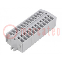 Bloque de bornas; vías: 12; 0,08÷2,5mm2; gris; 800V; 24A