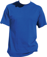 Promodoro T-shirt Premium blauw maat XXL