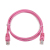 Gembird RJ45/RJ45 Cat5e 3m networking cable Pink U/UTP (UTP)