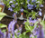 Gardena Vollautomatische Blumenkastenbewässerung
