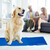 Relaxdays Kühlmatte Hund, versch. Größen, selbstkühlende Hundematte, Gel, abwischbar, Kühlunterlage für Haustiere, blau
