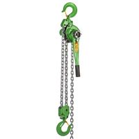Delta DC.0.0856003 Rateltakel - 6 ton - 3 meter