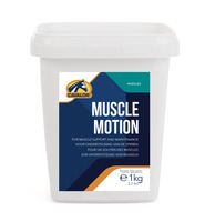 Muscle Motion Versele-Laga 1 kg (1 Stück), Detailansicht